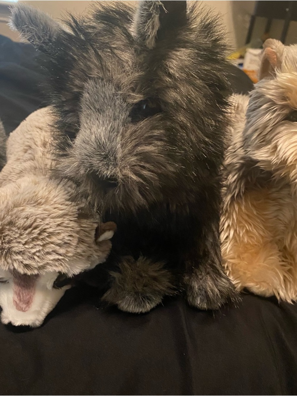 Huge Douglas & SOS Plush lot